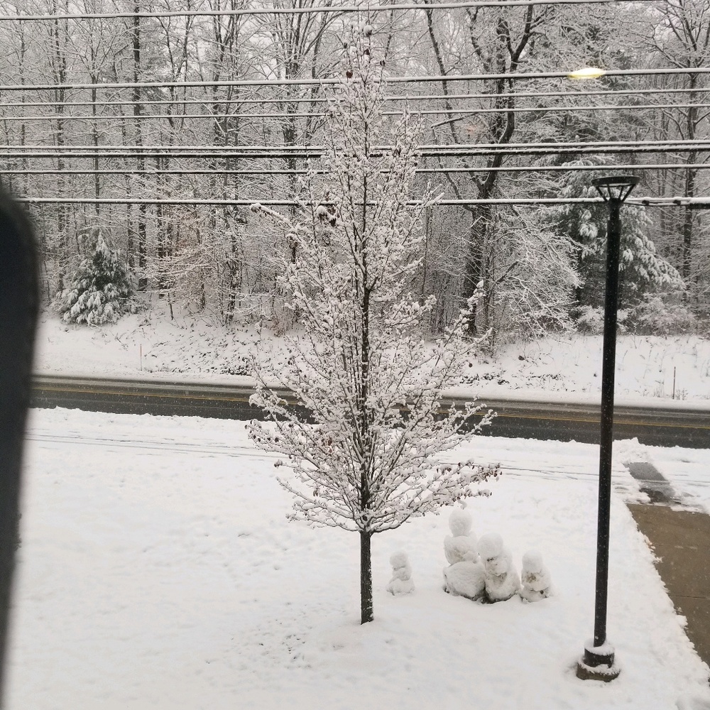 Meet your Posher, Bhavina